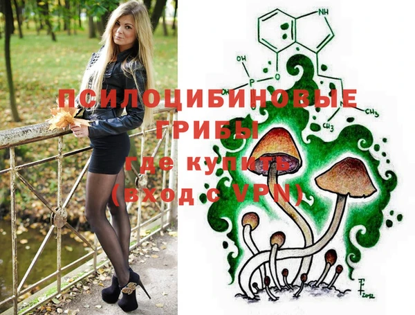 меф Алексин