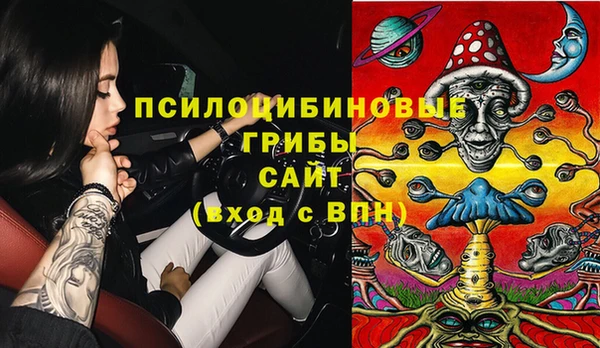 спайс Алзамай