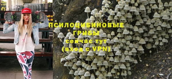 меф Алексин