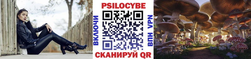Галлюциногенные грибы GOLDEN TEACHER  купить наркоту  Уссурийск 